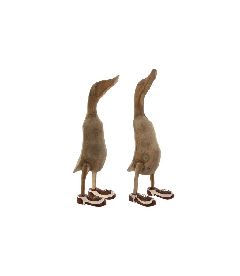 FIGURA PATO