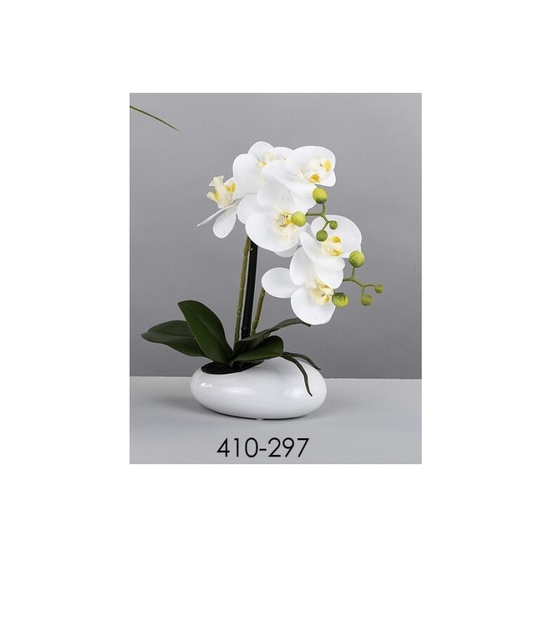 MACETA ORQUIDEA